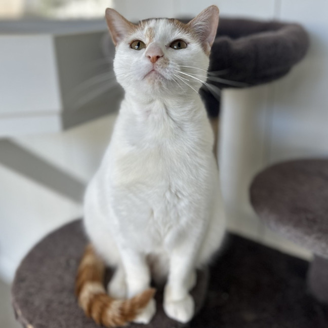 Photo of Pearl