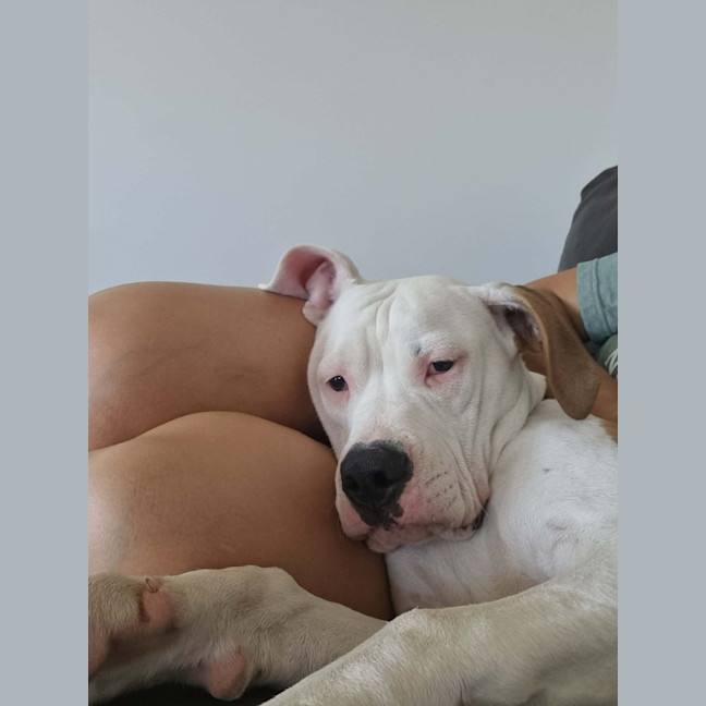 Photo of Molly