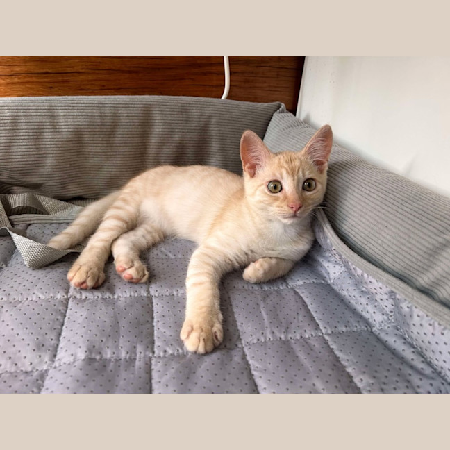 Photo of Kevin And Shadow