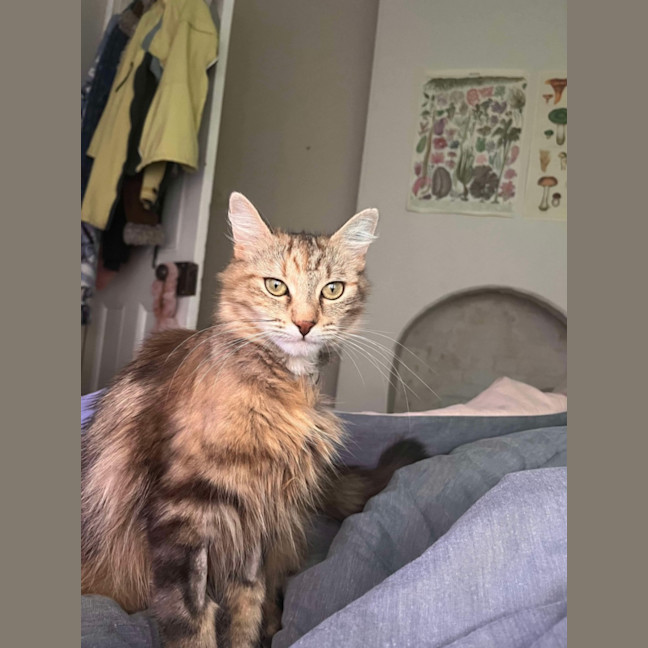 Photo of Penelope 🩷