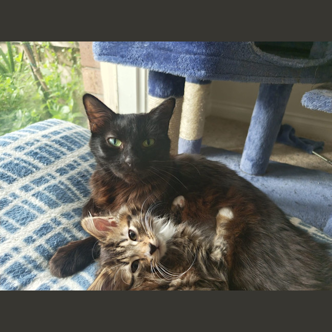 Photo of Jasmine