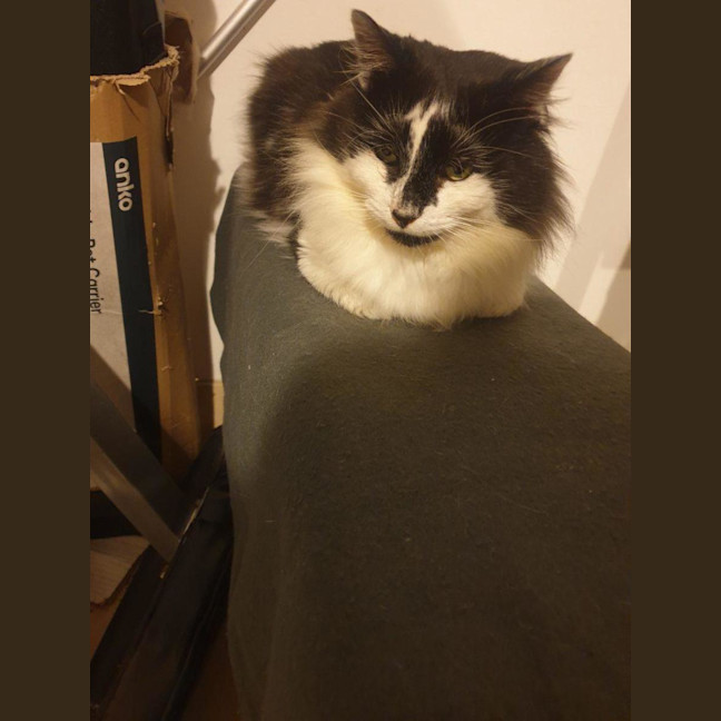 Photo of Sam Sam