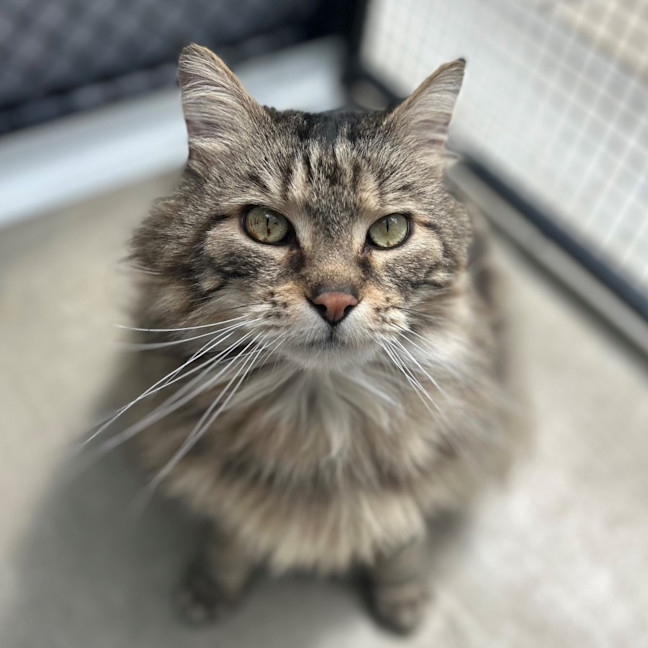 Photo of Benny
