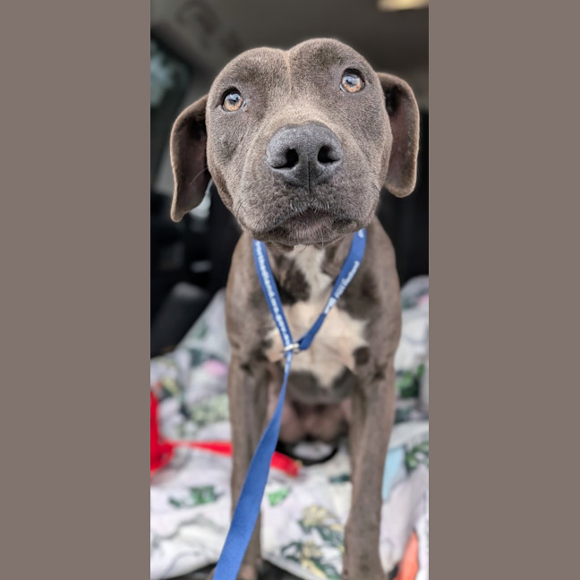 Photo of Bumble