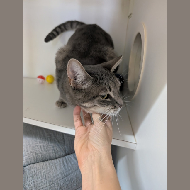 Photo of Luna Tuna