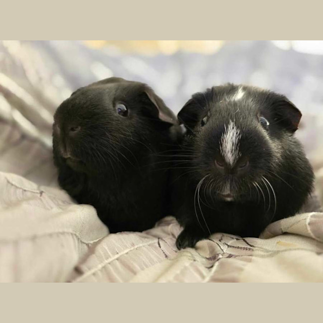 Photo of Marco & Polo