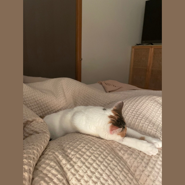 Photo of Daisy