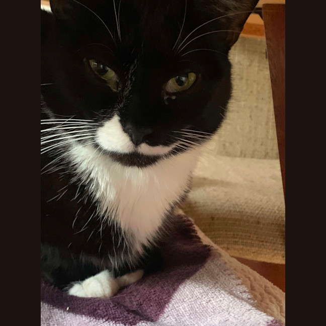 Photo of Blaire & Atlas 