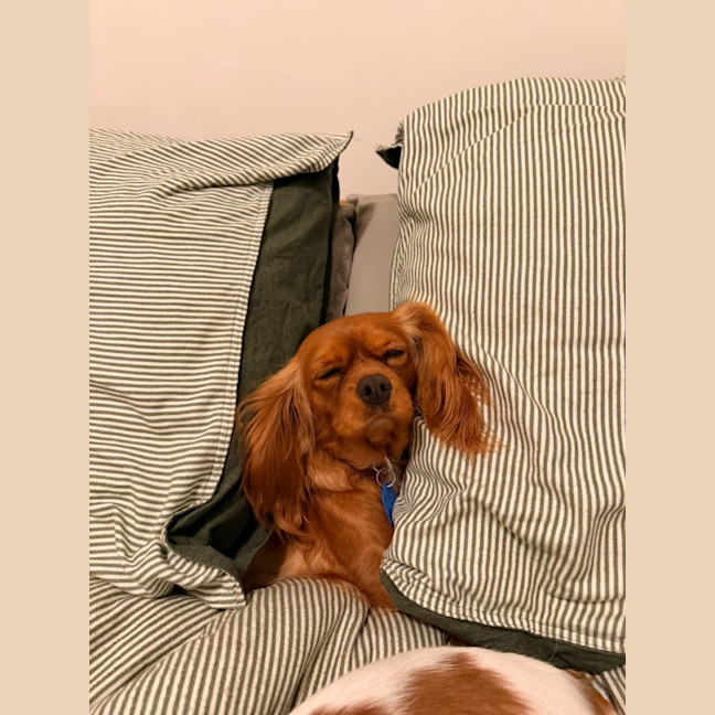 Photo of Lizzie And Velvet