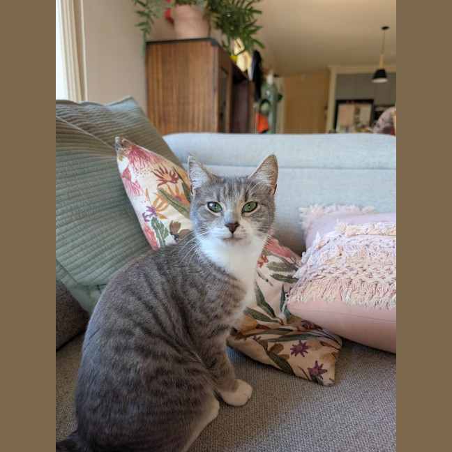 Photo of Leeloo