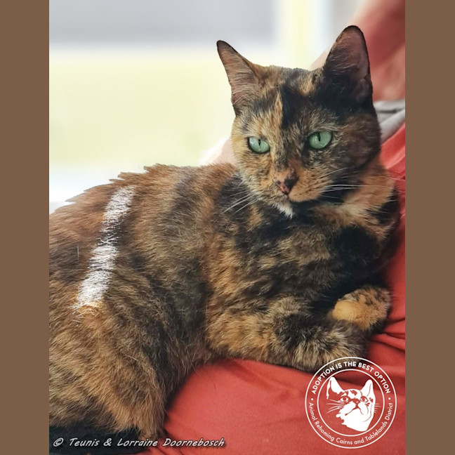 Photo of Eagless And Weston