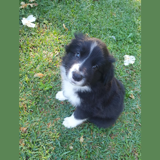 Photo of Kai