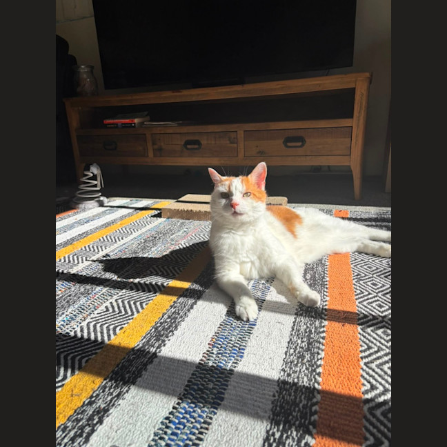 Photo of Bobby