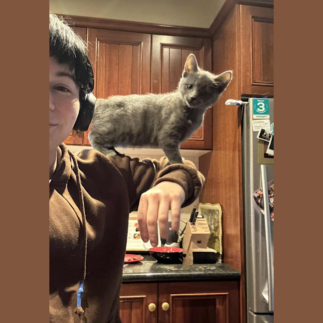 Photo of Artemis   Located In Preston