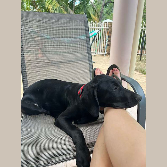 Photo of Reggie