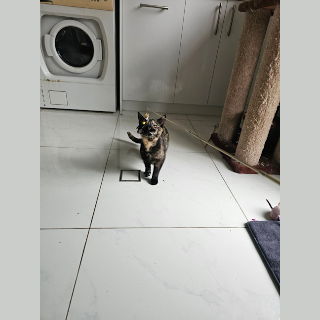 Photo of Gemma