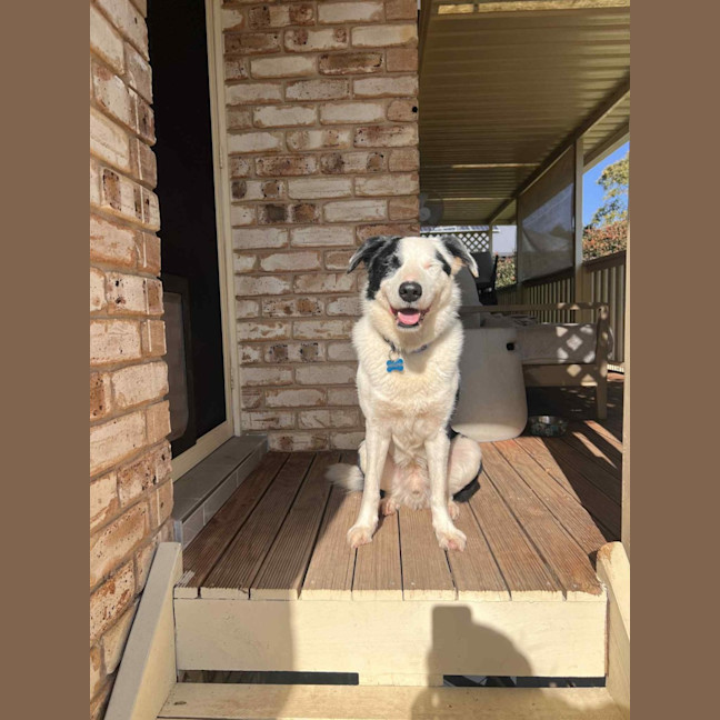Photo of Spotty