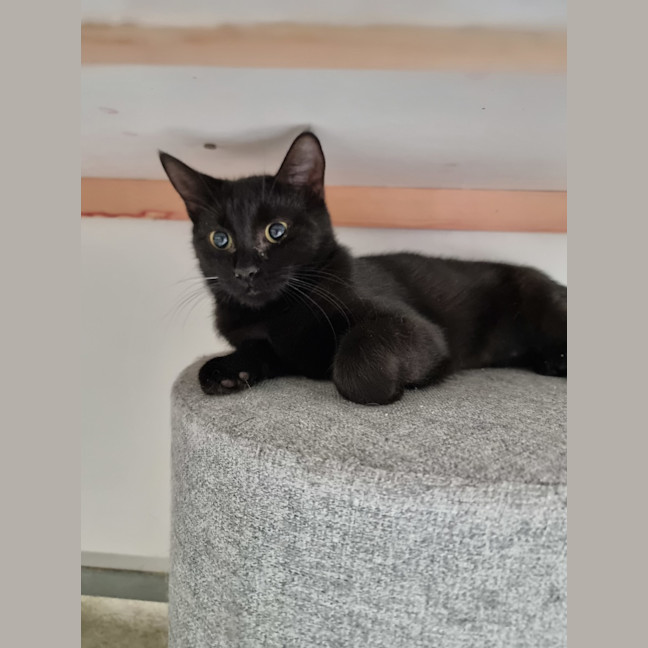 Photo of Eve