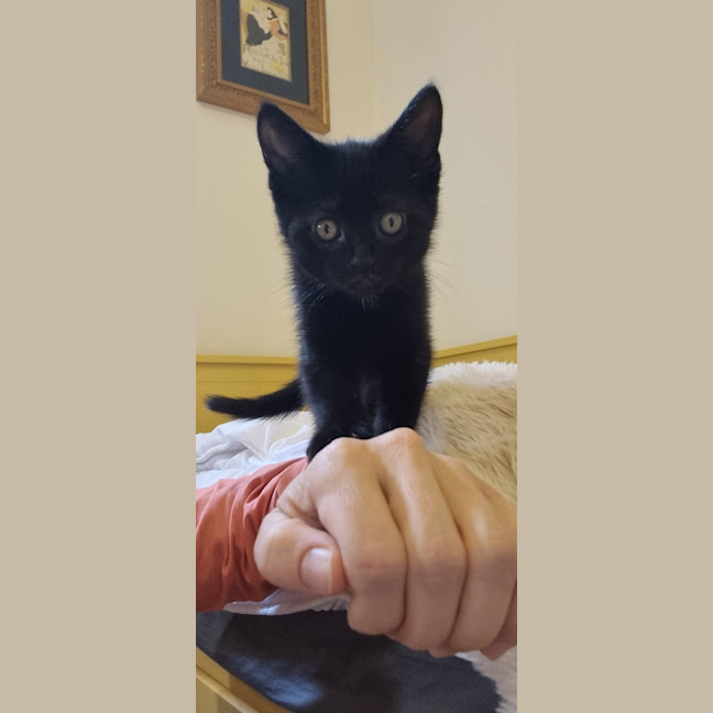 Photo of Astrid