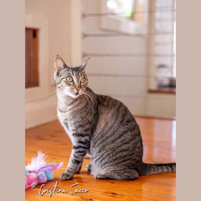 Photo of Missy