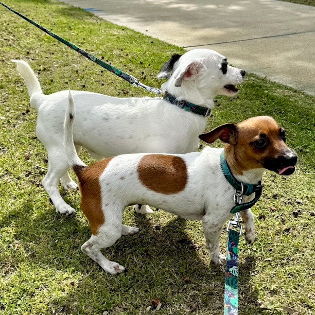 Photo of Gary And Willow 