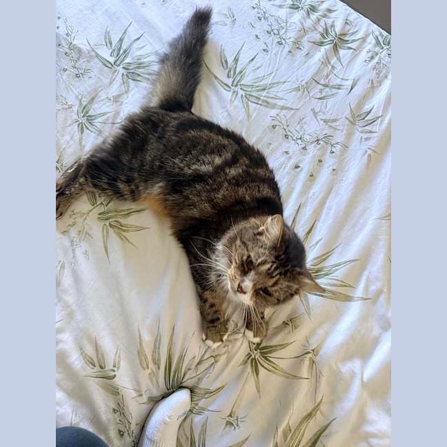 Photo of Tango