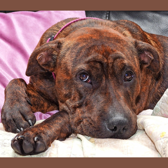 Photo of Coco Chanel