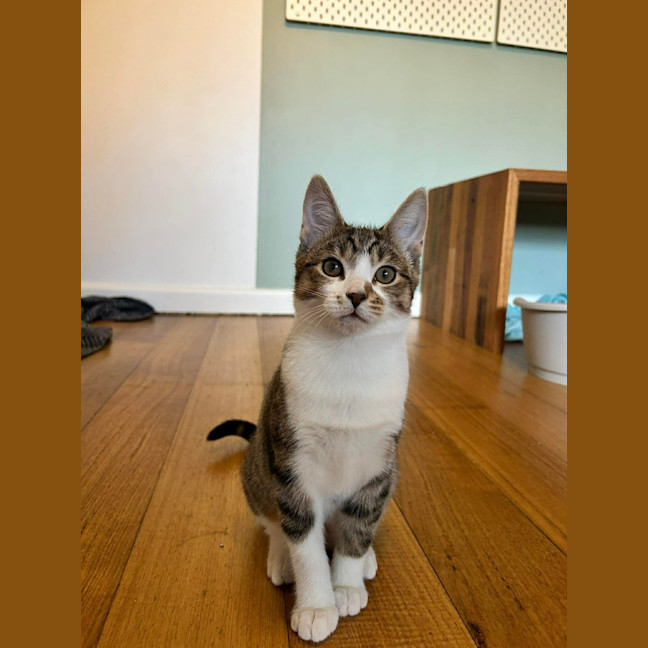 Photo of Alice
