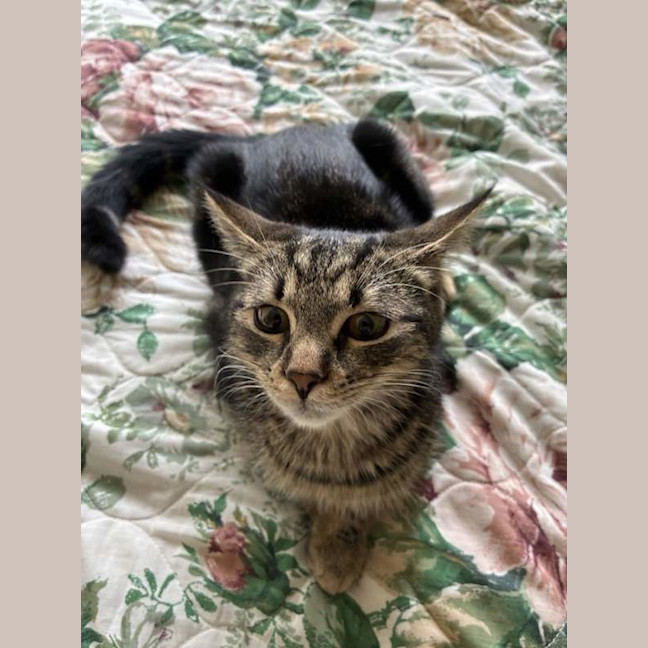 Photo of Baby