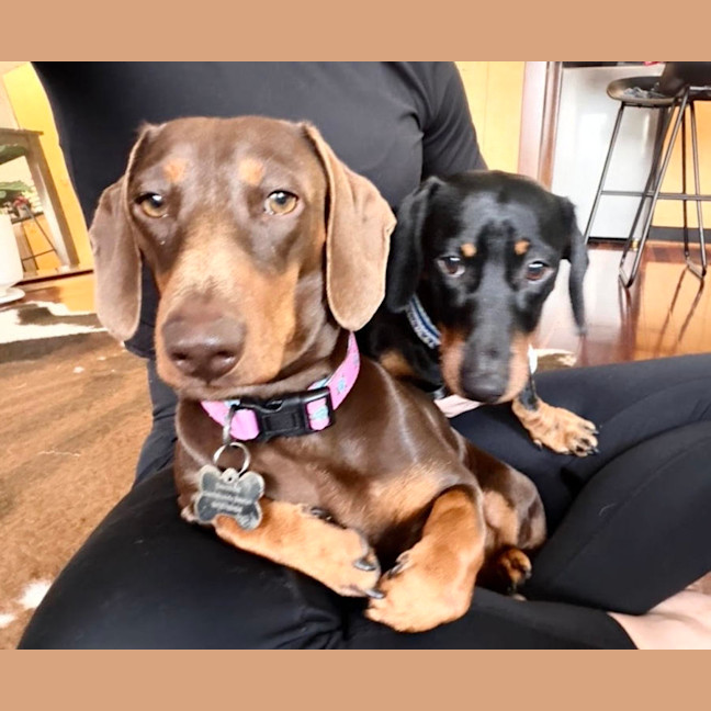 Photo of Poppy And Banjo