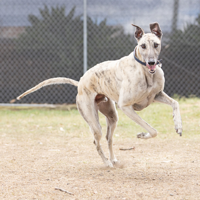 Photo of Ghost