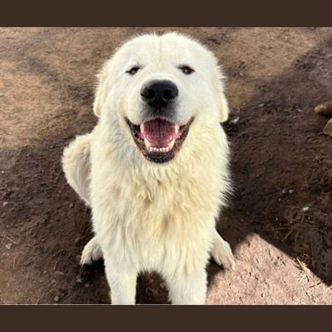 Photo of Lenny
