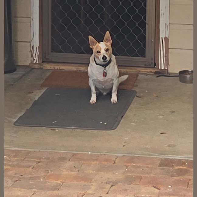 Photo of Charlie