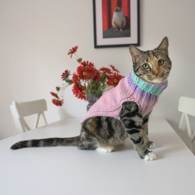 Photo of Sharona 