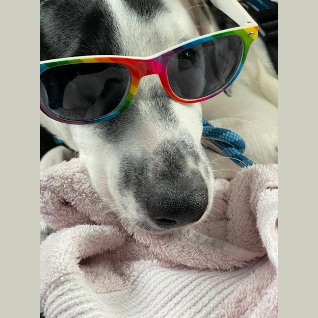 Photo of Donut