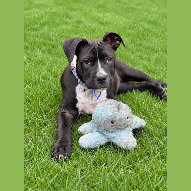 Photo of Maggie