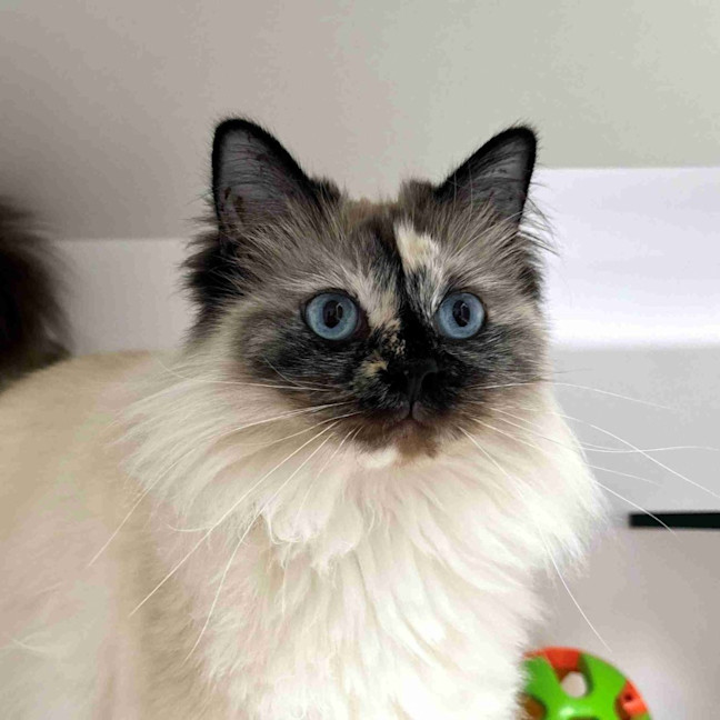 Photo of Elizabeth Sta014343