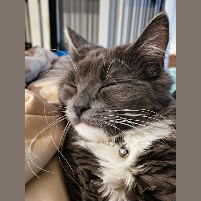 Photo of Sylvia
