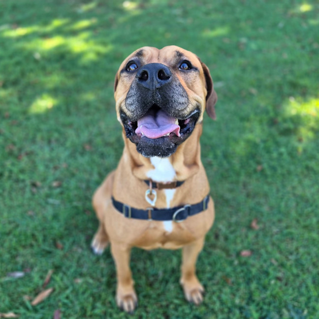 Photo of Bindi