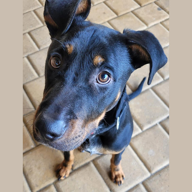 Photo of Zigzag 