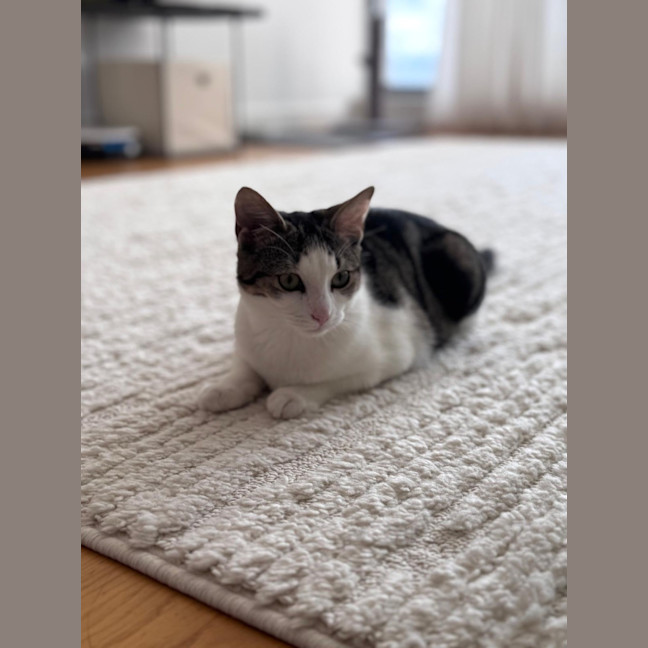 Photo of Mimi & Momo