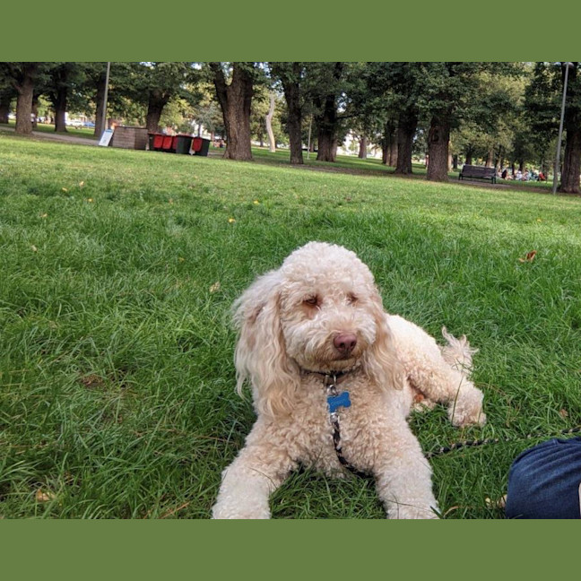 Photo of Gnocchi Russelton