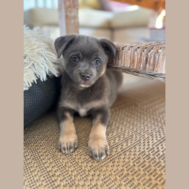 Photo of Bernie 