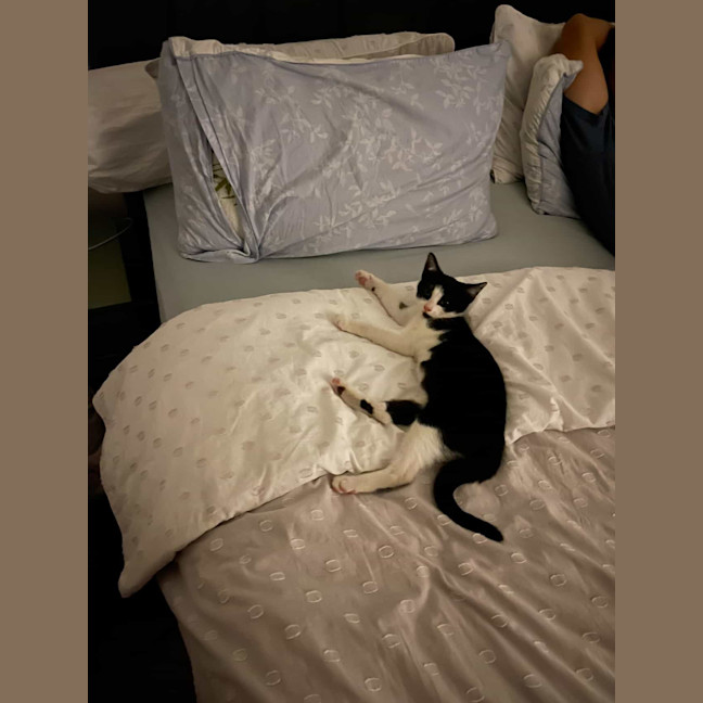 Photo of Moomoo & Bonbon