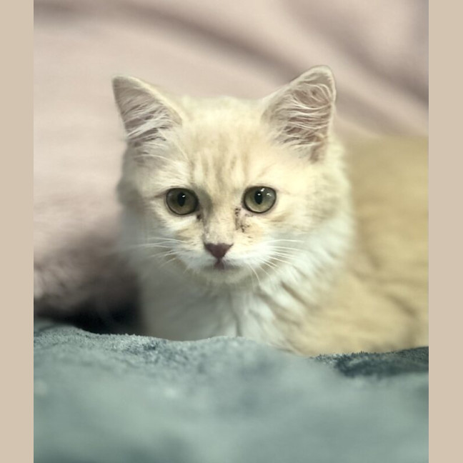Photo of Rosemarie