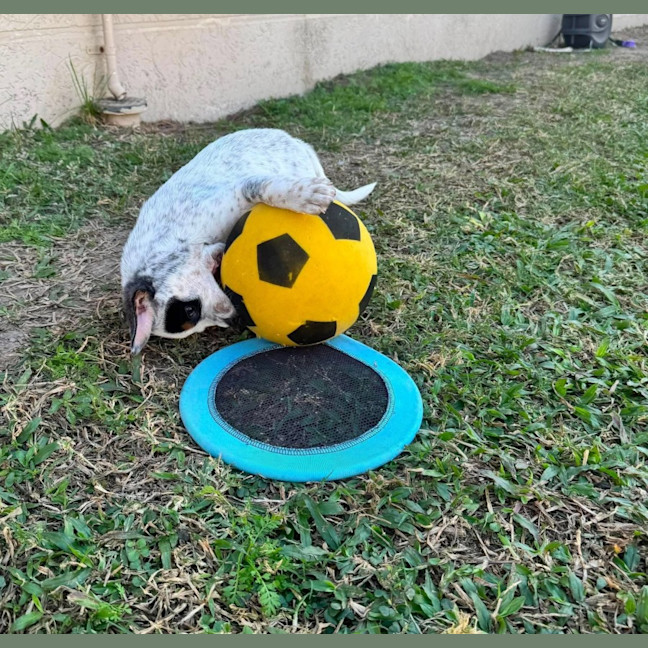 Photo of Peggy