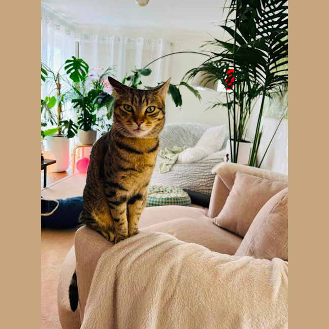 Photo of Ferris & Felix