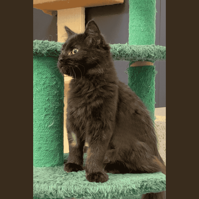 Photo of Sora