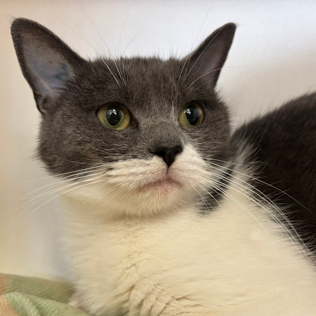 Photo of Storm Thomson