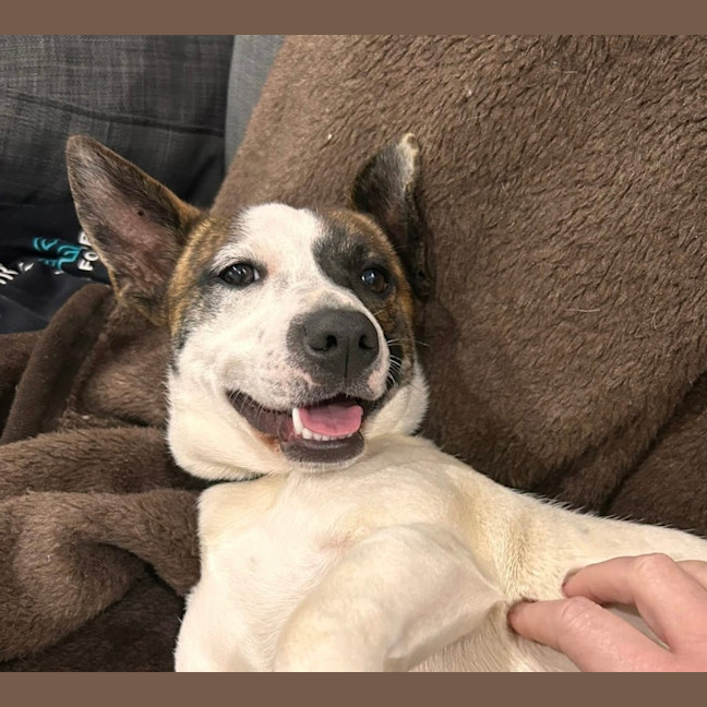 Photo of Turbo